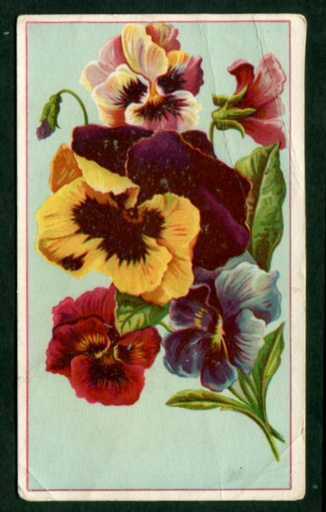 Fleming Bros. (RS88-RS90). The Only Genuine McLane's Pills are the Dr. C. McLane's Liver Pills trade card